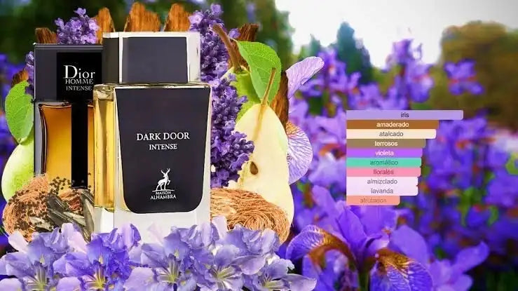 Dark Door Intense Maison Alhambra Parfum Homme 100ml